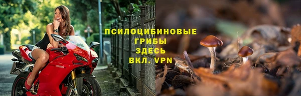 первитин Вяземский