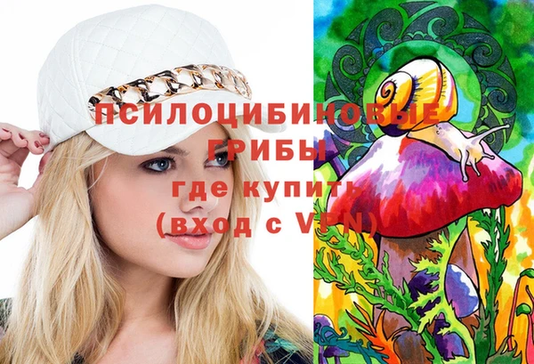 Альфа ПВП Володарск